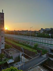 1000079554