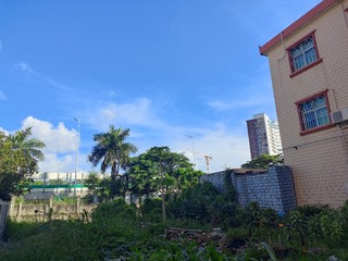 1000077954
