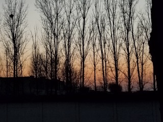 1000135073