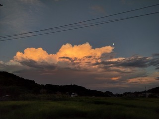 1000043635