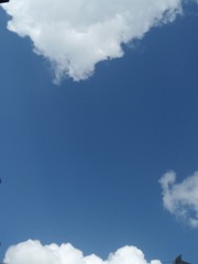 IMG_20240801_155339