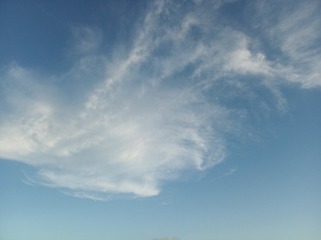 366044