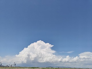 1000052931