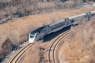 49464