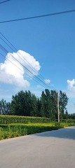 1000015997