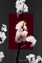 001