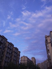 1000016652