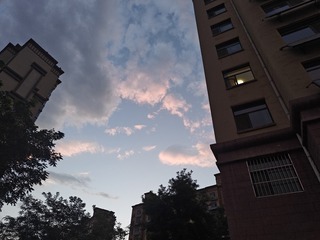 1000015569