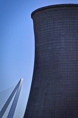 1000034229