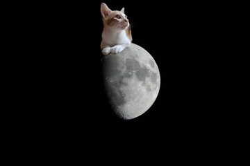 13424