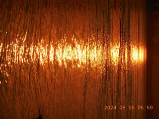 1000042551