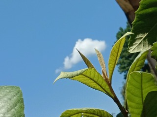 IMG_20240707_112745