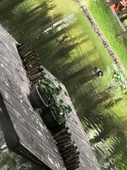 1602