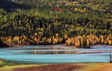 IMG_9127.jpg