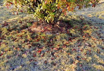 DSC_1240.jpg