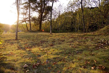 DSC_1255.jpg