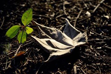 DSC_1363.jpg