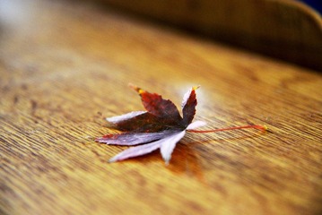 DSC_1513.jpg