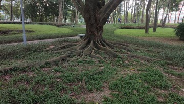 IMG20240805061643