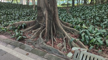 IMG20240805061959
