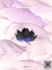 1000115640