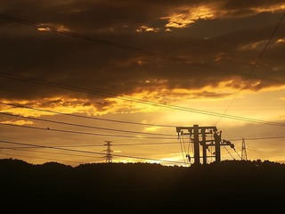 3207687