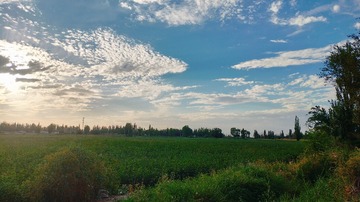 1000014870