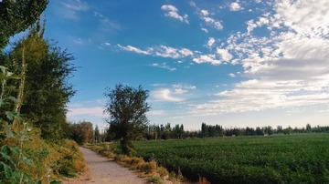 1000014872