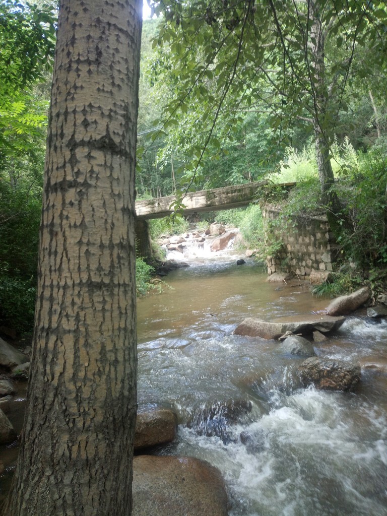 山间小溪