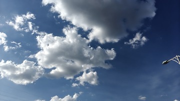 1000012151