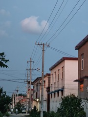 1000016583