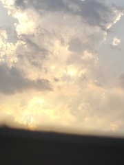 1000023301