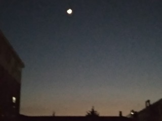 2809054