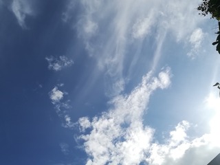 1000006366