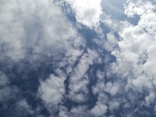 1000006229