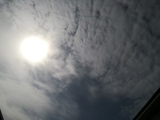 1000006274