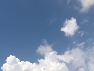 1000006220