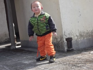 14774