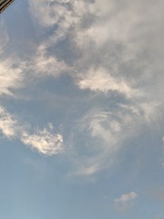1000002910