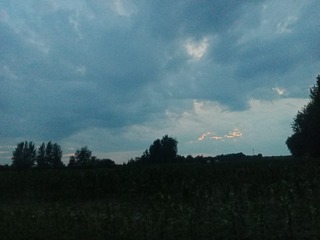 3381254