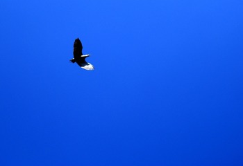 526347