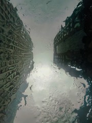 1000120593
