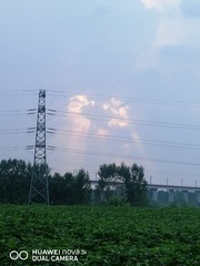 907891