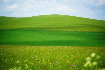 1000716525