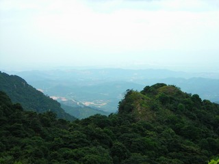2167238