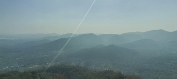 1000016104