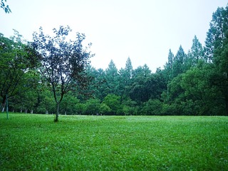 1000029765