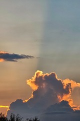1000130606