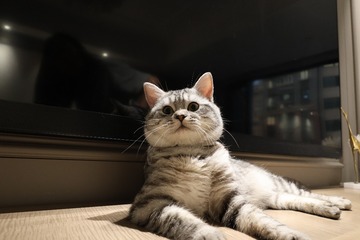 69164