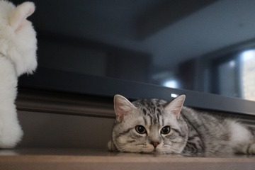 69166